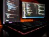 Zusammenwirken von Anwendern und Softwareentwicklern bei der Abwicklung komplexer Softwareprojekte